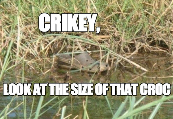 the-absolute-funniest-posts:  Follow this blog, you will love it on your dashboard