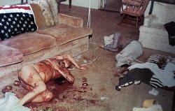 jeffrey-the-sexx-king-dahmer:  stanzihorrorstory:  Ted Bundy (serial killer) real murder crime scene photo.  I just spit out all my water that I was drinking laughing at this.  