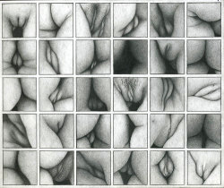 vaginas / grid