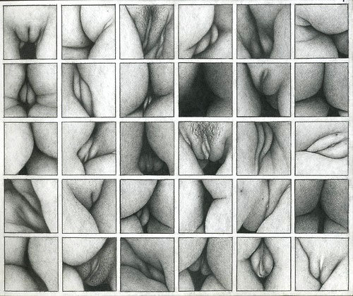 Sex vaginas / grid pictures