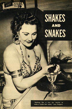 Tangara                 ..buys her snake a drink!