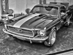 Muscle Car Dreaming