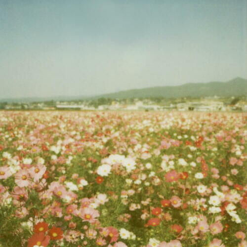 Flor e ser..