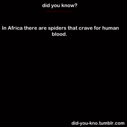 did-you-kno:  The spider, which hunts blood-sucking female mosquitoes, is the only animal known to select its prey based on what the prey has eaten. The spider is the also first known predator that deliberately feeds on vertebrate blood by eating mosquito