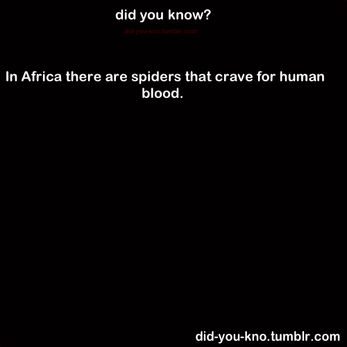 did-you-kno:  The spider, which hunts blood-sucking female mosquitoes, is the only animal known to select its prey based on what the prey has eaten. The spider is the also first known predator that deliberately feeds on vertebrate blood by eating mosquito
