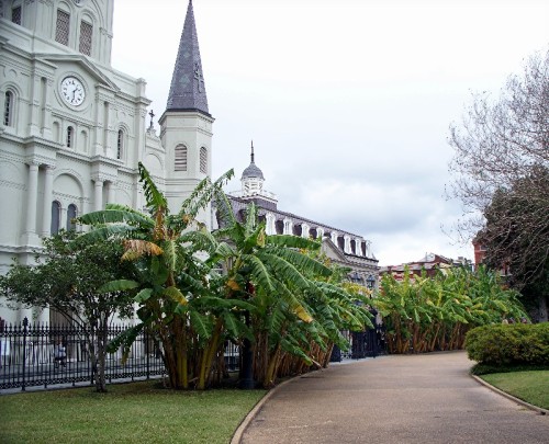 efilina: St. Louis Cathedral from Jackson Square Park New Orleans LA