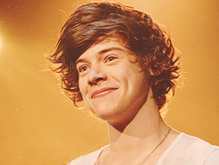 blamestyles:  One Direction - San Diego 