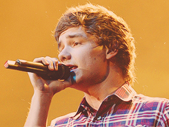 blamestyles:  One Direction - San Diego 