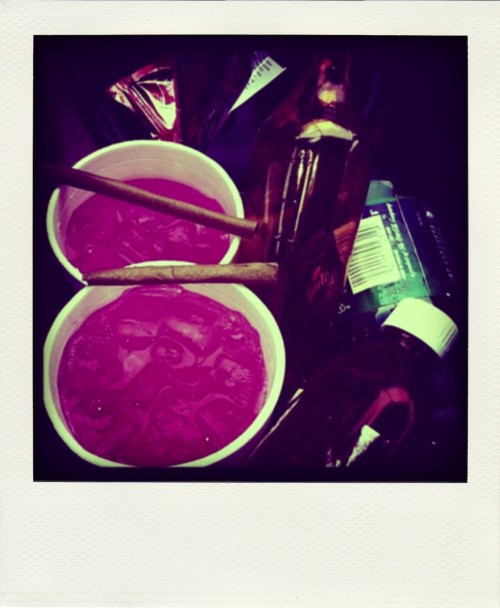 Schedvins