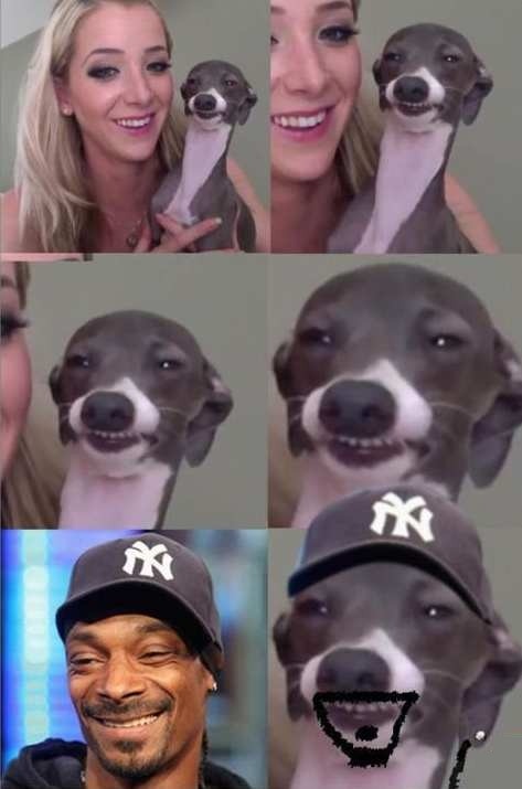 the-absolute-funniest-posts:  Follow this blog, you will love it on your dashboard