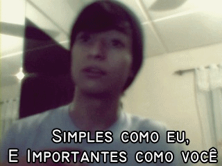 PINGUINS VOADORES