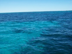 blesss:  herballist:  sp-in:  coral bay, western australia. i took this while on holiday last year, it’s the western-most part of the country. it’s so nice out there, we went snorkelling with sharks, fish and turtles. if you look out near the horizon,