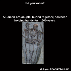 did-you-kno:  The lovers were probably even ‘looking into each other’s eyes’ when they were buried in the 5th century, during the final days of the Roman Empire. Source