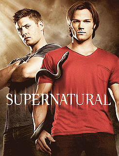 jaredpadalecki-org:  Supernatural: Seasons 1-6 