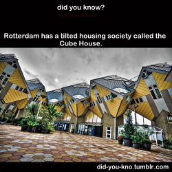 did-you-kno:  Architect Piet Blom tipped a conventional house forty-five degrees and rested it upon a hexagon-shaped pole so that three sides face down and the other three face the sky. Each of the cube houses accommodates three floors: a living space