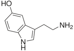 soy-lesbiana:  Les presento a la Serotonina.  Este neurotrasmisor es el causante de tu estado de humor, se dice que cuando alguien está con una persona que le “atrae” uno secreta serotonina. El problema es cuando hace falta la serotonina esto se