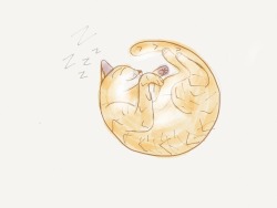 absent-minded-doodler:  Snoozing Tabby Made with Paper &amp; right index finger 
