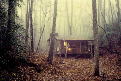 tripudios:  My Log Cabin 1985 “The summer after I finished school I set off into the mountains of North Carolina to build a log cabin, armed with a few books, and hand tools, but no experience or skills. I set up my tent and expected it to take six