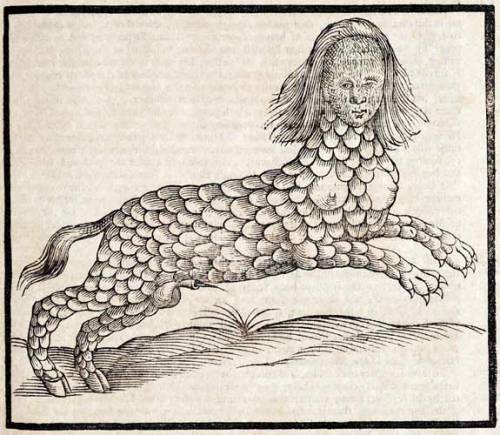 The History of Four Footed Beasts