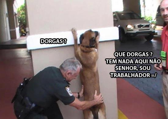 Image tagged with comédia humor alegria on Tumblr