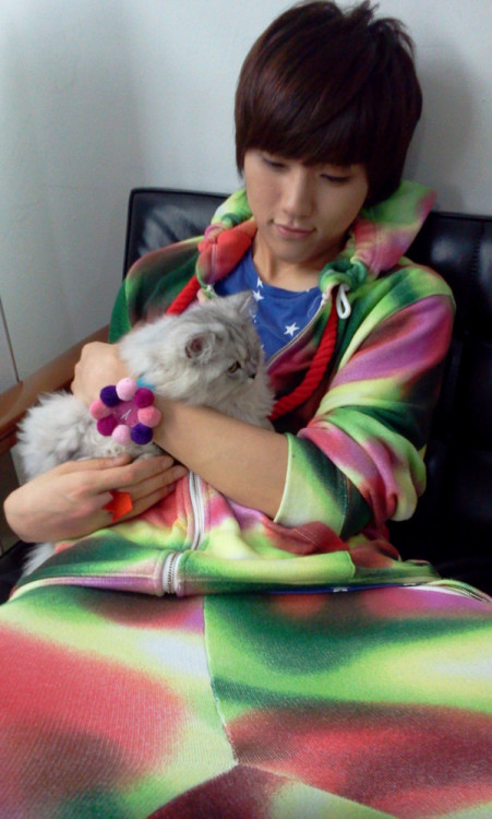 Sex KPOP IDOLS WITH PETS pictures