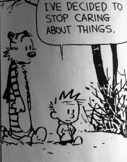 10knotes: Calvin &amp; Hobbes may be the greatest comic strip ever made