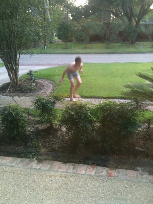 giraffescanflytoo:   kurdtkocaine:  so my brother was doing something weird in the front yard in his underwear???  and the next thing i know……   Do you live in a Sims game 