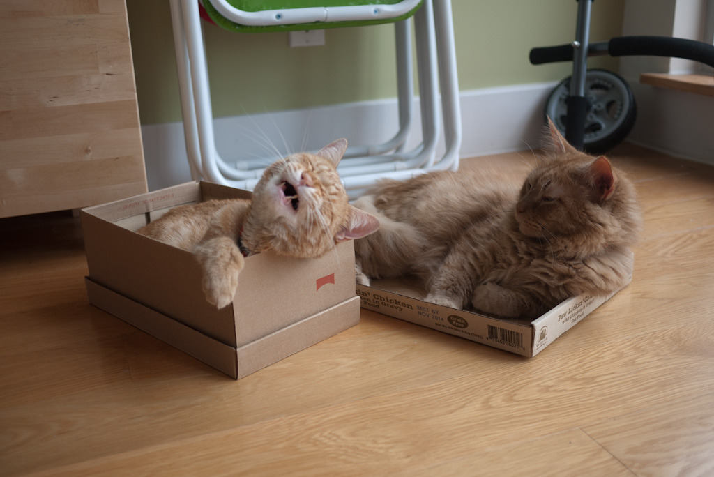 “Oh, don’t be such a drama queen, Rusty! Your box is not that tight!“
Via alex conan