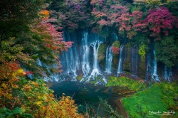 fuckyeahprettyplaces:  Shiraito Falls, Japan.