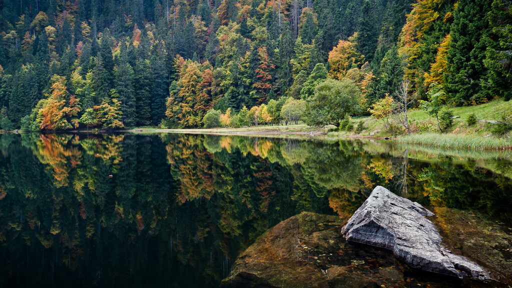 allthingseurope:  Black Forest, Germany  (by andywon) 