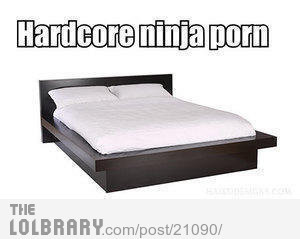 ipostfunnystuff:  Hardcore Ninja PornFollow this blog for the best new funny pictures
