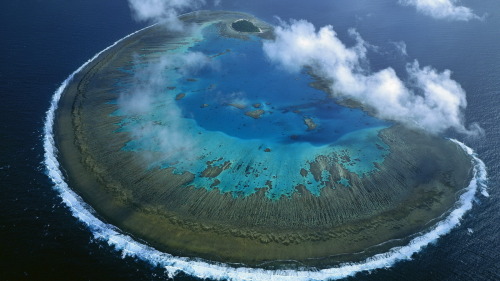 visitheworld:Lady Musgrave Island coral atol, Great Barrier Reef, Queensland, Australia.