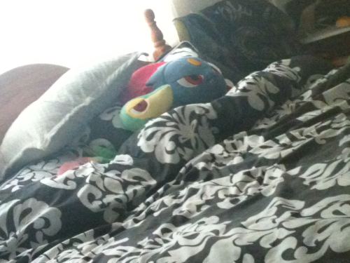 Bed