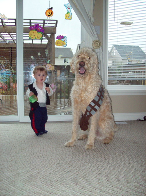 comicallyvariant:nerdbabies:A smuggler and his Wookiee.Can we talk about this thoughNerd Babies has 