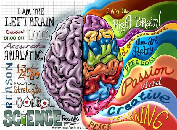 9ether-vibrations:  please exercise both parts of your brain otherwise your failing