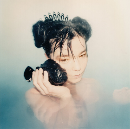 Tumblr - bjork.fr