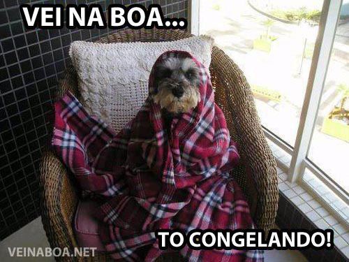 citações.