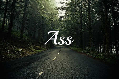 jessic-eh:  ass please 