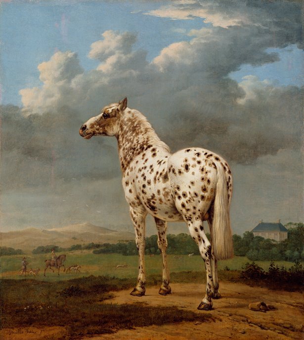 Horses were central to daily life in Middle Ages and early modern Europe, and artists were familiar with the animals’ attributes and proportion.
The “Piebald” Horse, Paulus Potter, 1650-54