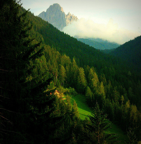 bluepueblo:  Mountain Meadow, The Dolomites, Italy photo via view 