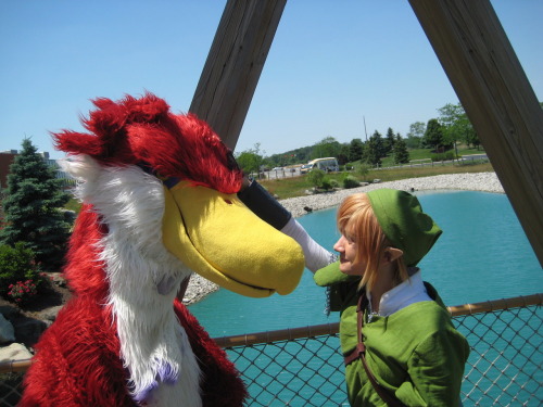 zulayawolf:My Loftwing cosplay at Colossalcon 2012The wind kept mussing up my fur and crown feathers