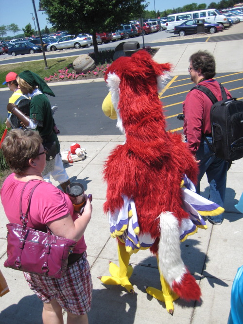 zulayawolf:My Loftwing cosplay at Colossalcon 2012The wind kept mussing up my fur and crown feathers