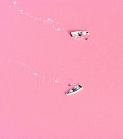 ask-sweetish-taboo:   pizzzatime:  Situated north of the Cap Vert Peninsula in Senegal, northeast of Dakar, Lake Retba, or as the French refer to it Lac Rose, is pinker than any milkshake you’ve ever come face to straw with. And once you see it, you