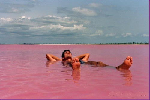  Situated north of the Cap Vert Peninsula in Senegal, northeast of Dakar, Lake Retba, or as the French refer to it Lac Rose, is pinker than any milkshake you’ve ever come face to straw with. And once you see it, you too will agree that a sippy straw