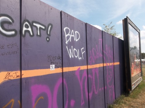 thedoctorwhoexperience:Rose Tyler went to Bonnaroo in Manchester, TN this past weekend.