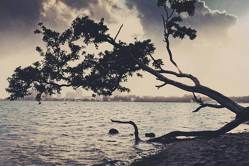 singtomysouldallasgreen:  You’re the northern wind sending shivers down my spine.