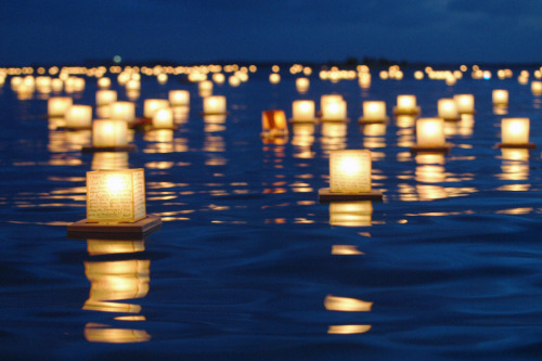 lupinswilly:llbwwb:Memorial Lantern Floating Ceremony ,Hawaii (by Sarah Gaston)