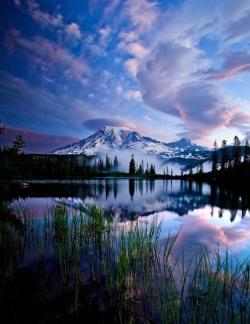 seenthroughgreeneyes:  Rainier National Park,