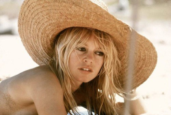  Bardot 