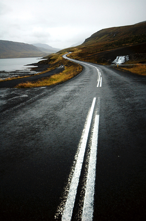 weshallneverstop:  Long winding road  |  João Almeida 